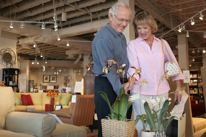 Senior couple looking at potted plants in a furniture store