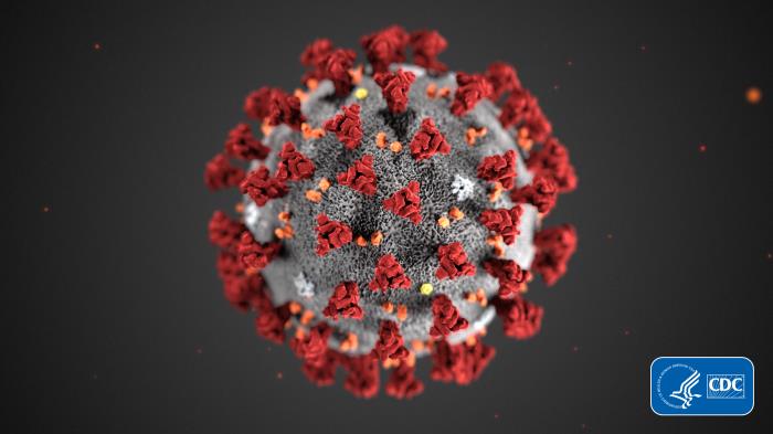 Photo shows an image of a magnified virus