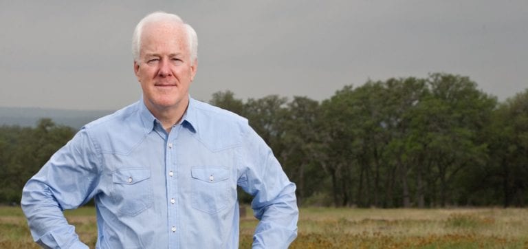 Image shows a white-haired man standing in a field