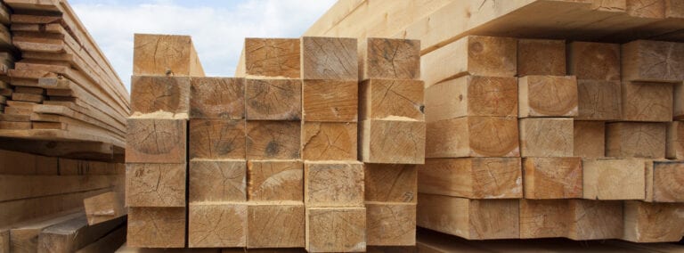 Photo of timber ready for manufacturing