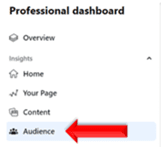 Professional Dashboard- Audience