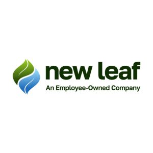 Picture of New Leaf